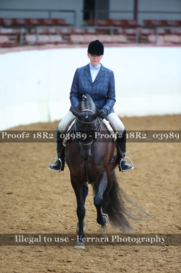 Proof 18R2_03989