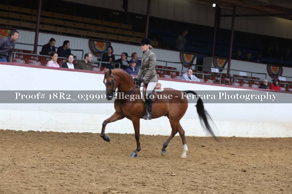 Proof 18R2_03990