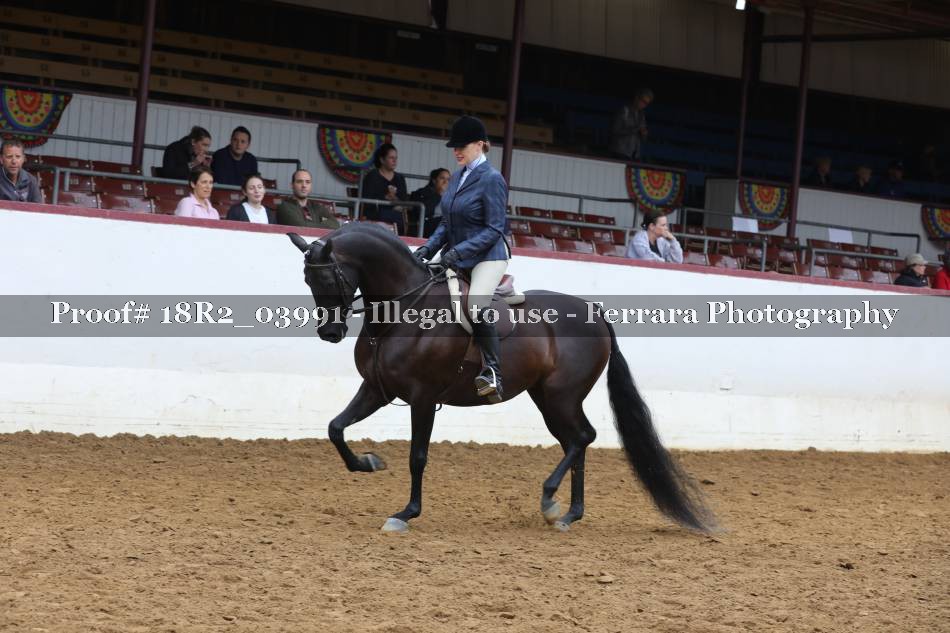 Proof 18R2_03991