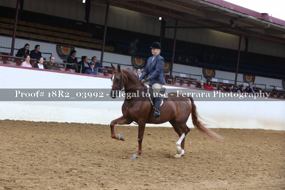 Proof 18R2_03992