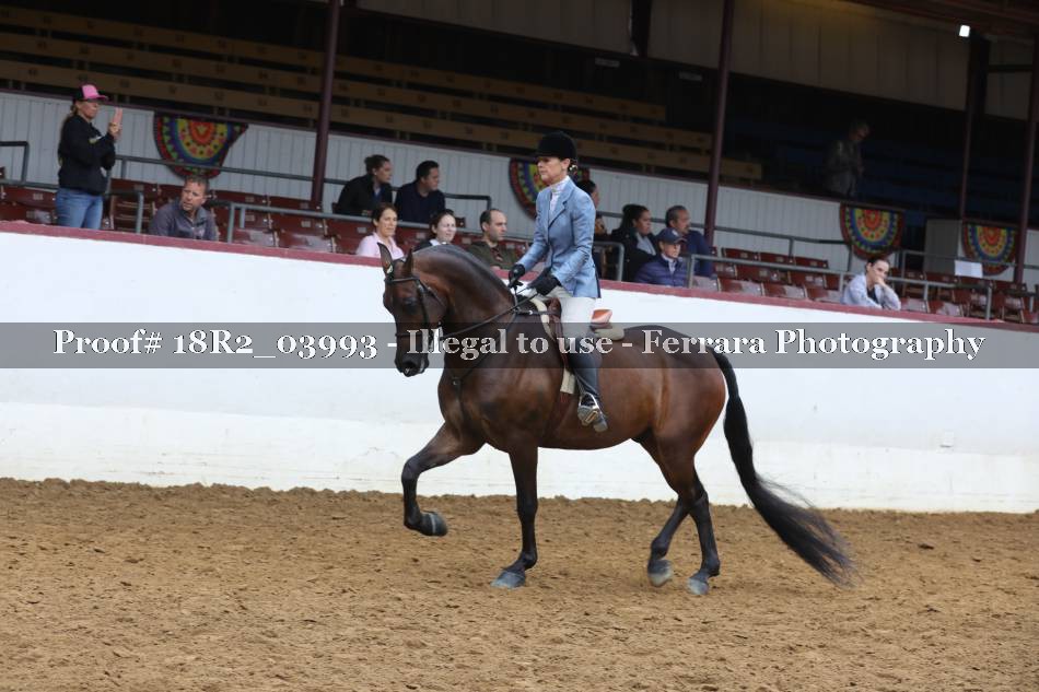 Proof 18R2_03993