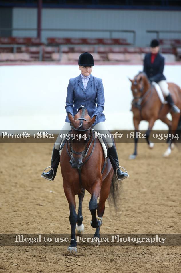 Proof 18R2_03994
