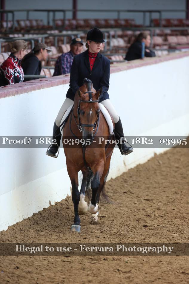 Proof 18R2_03995