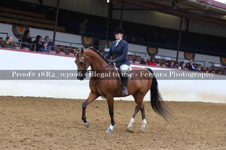 Proof 18R2_03996