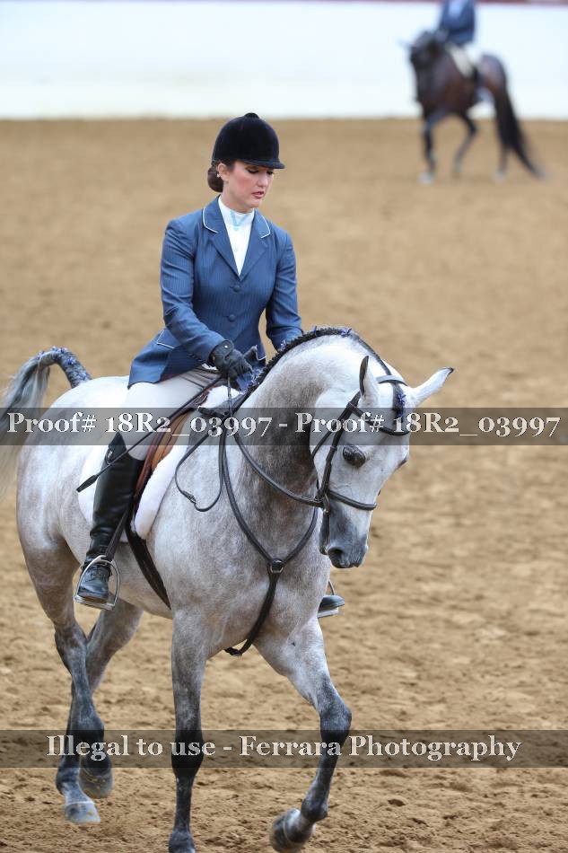 Proof 18R2_03997