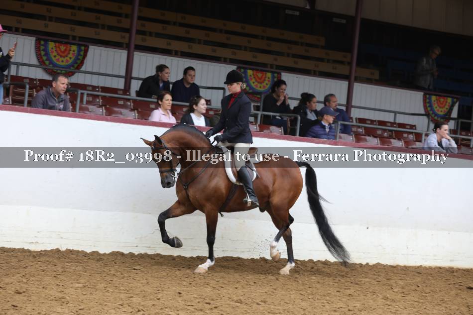Proof 18R2_03998