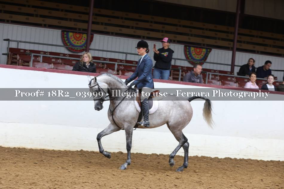 Proof 18R2_03999