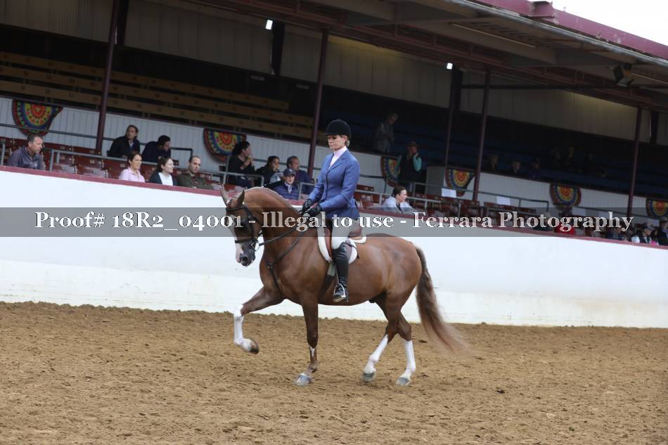 Proof 18R2_04001