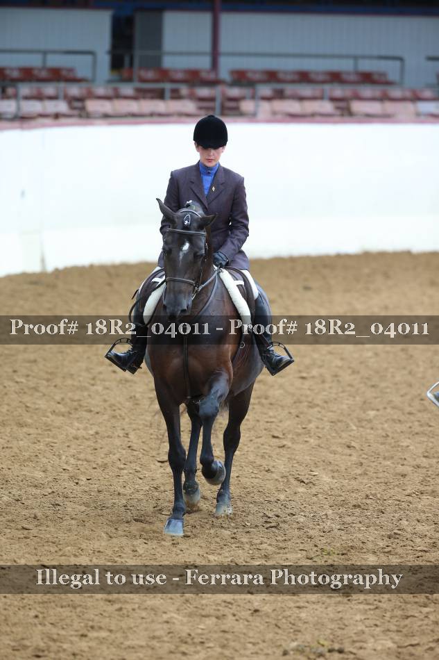 Proof 18R2_04011