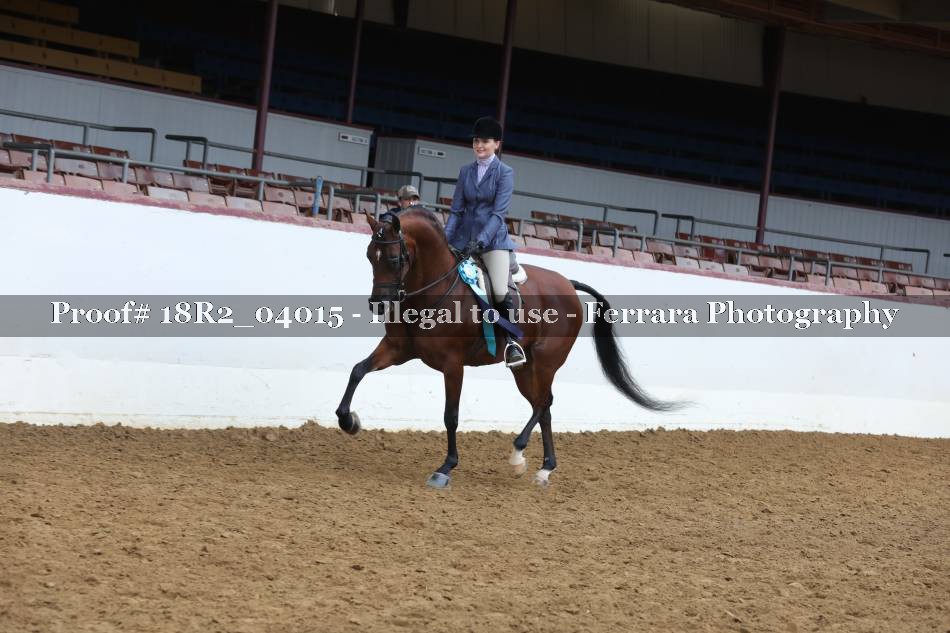 Proof 18R2_04015