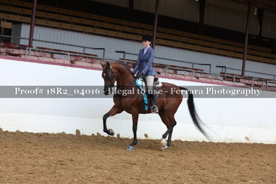 Proof 18R2_04016