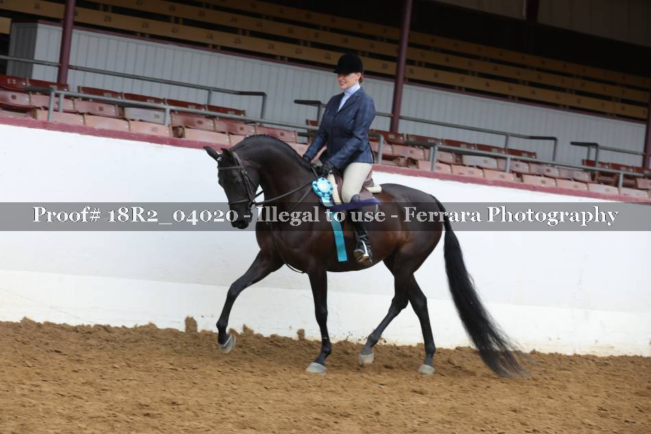 Proof 18R2_04020