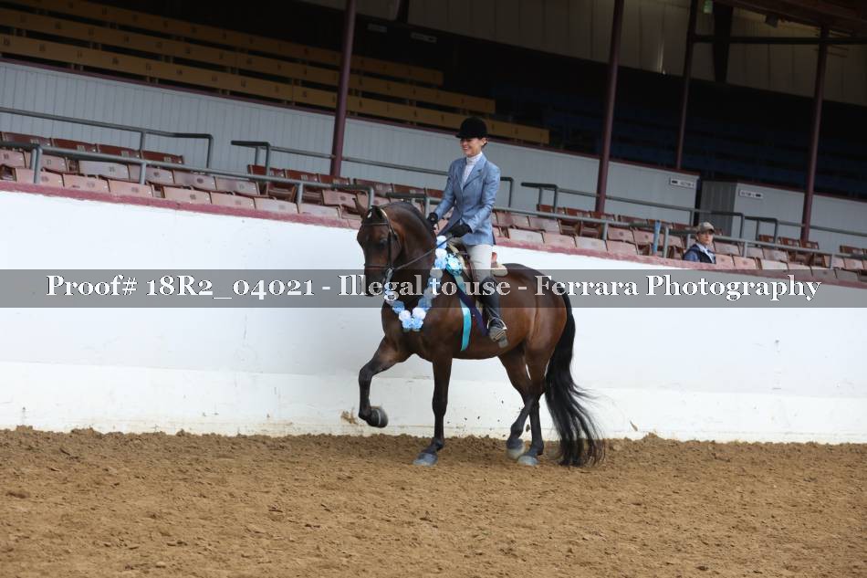 Proof 18R2_04021