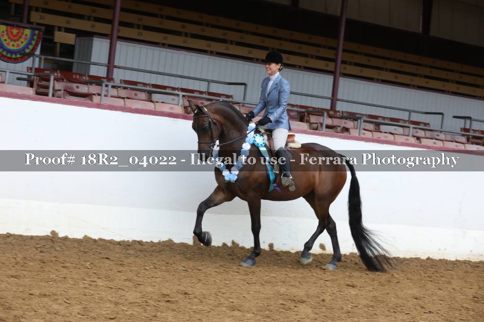 Proof 18R2_04022