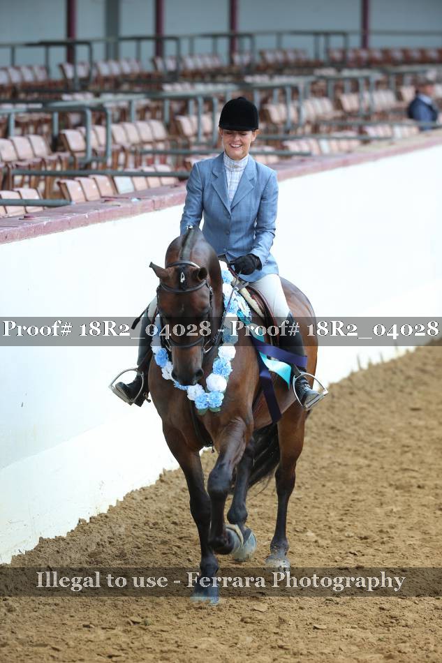 Proof 18R2_04028