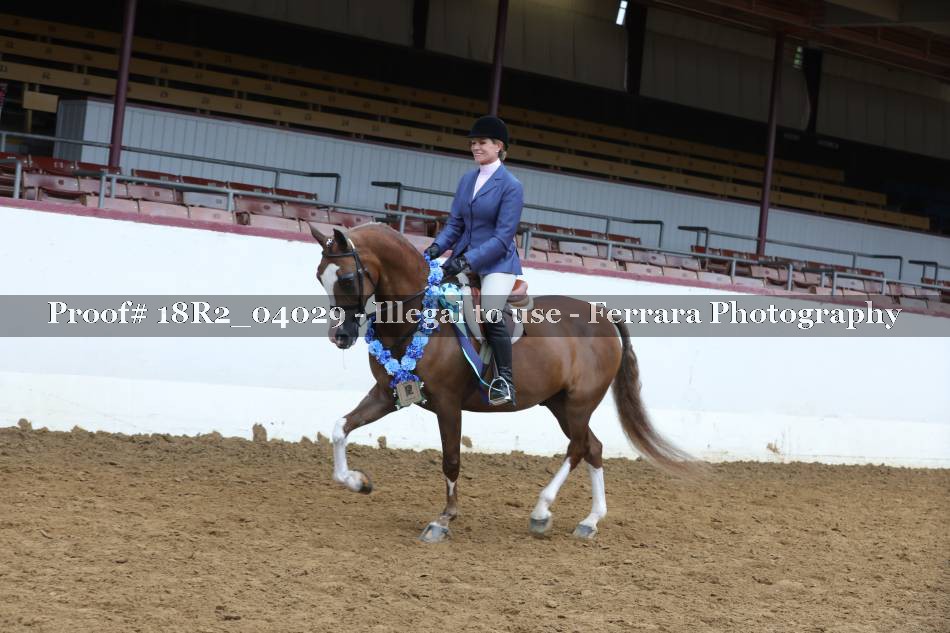 Proof 18R2_04029