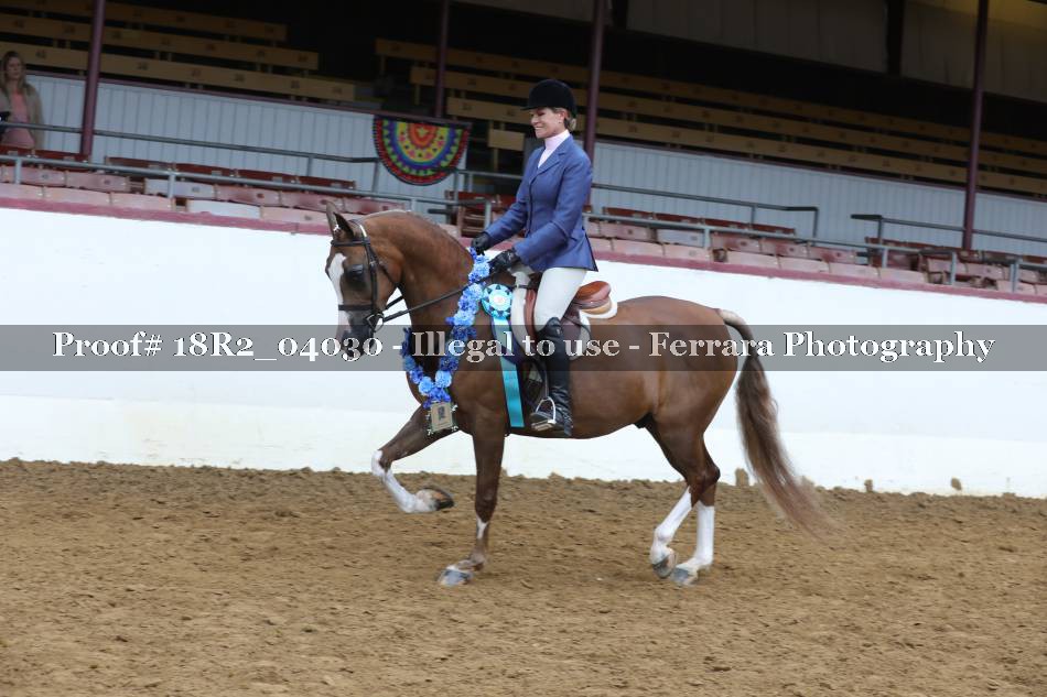 Proof 18R2_04030