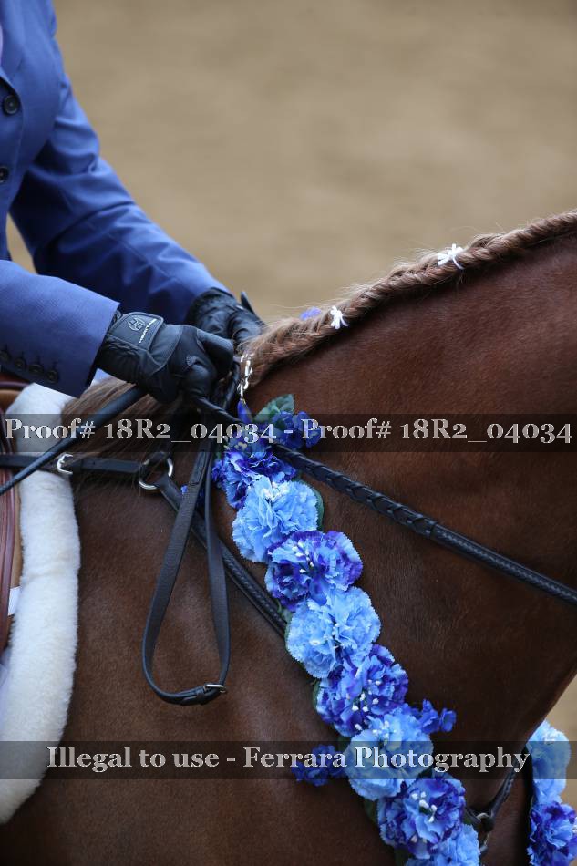 Proof 18R2_04034