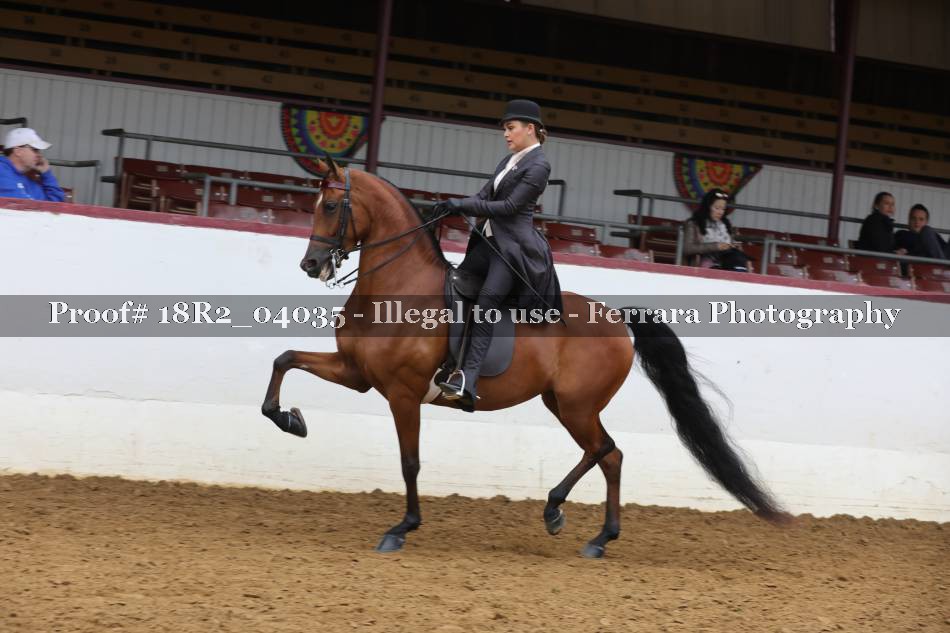 Proof 18R2_04035