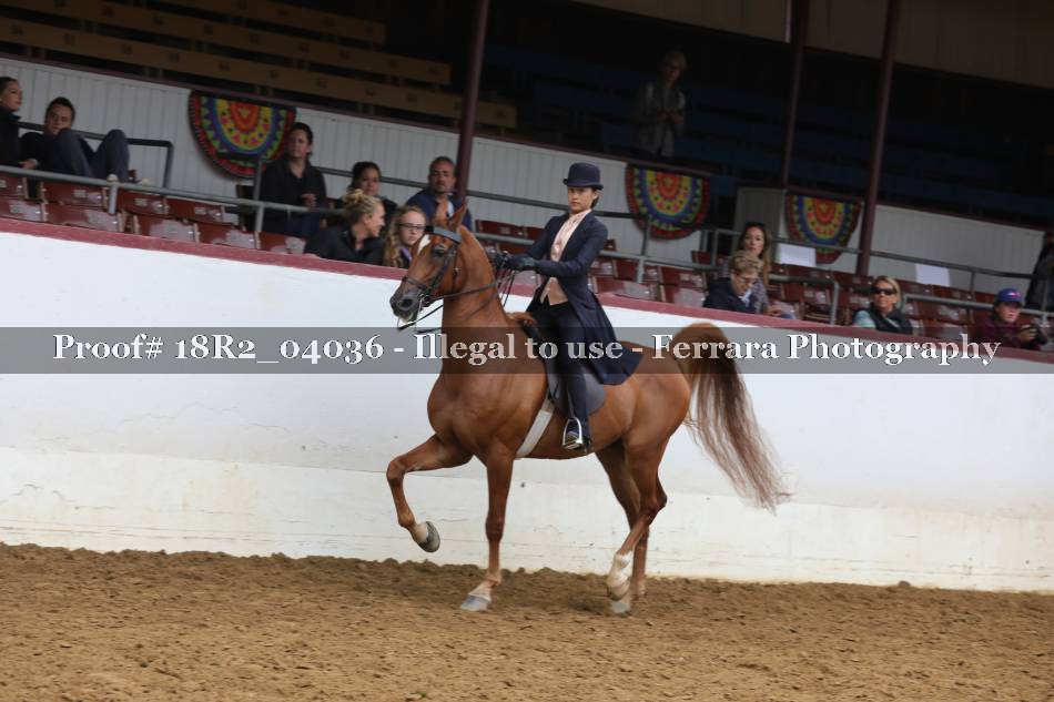 Proof 18R2_04036