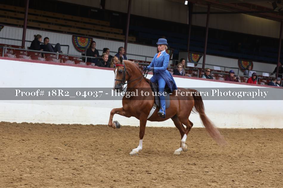 Proof 18R2_04037