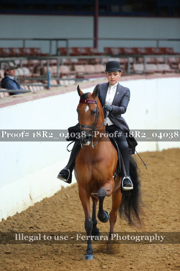 Proof 18R2_04038