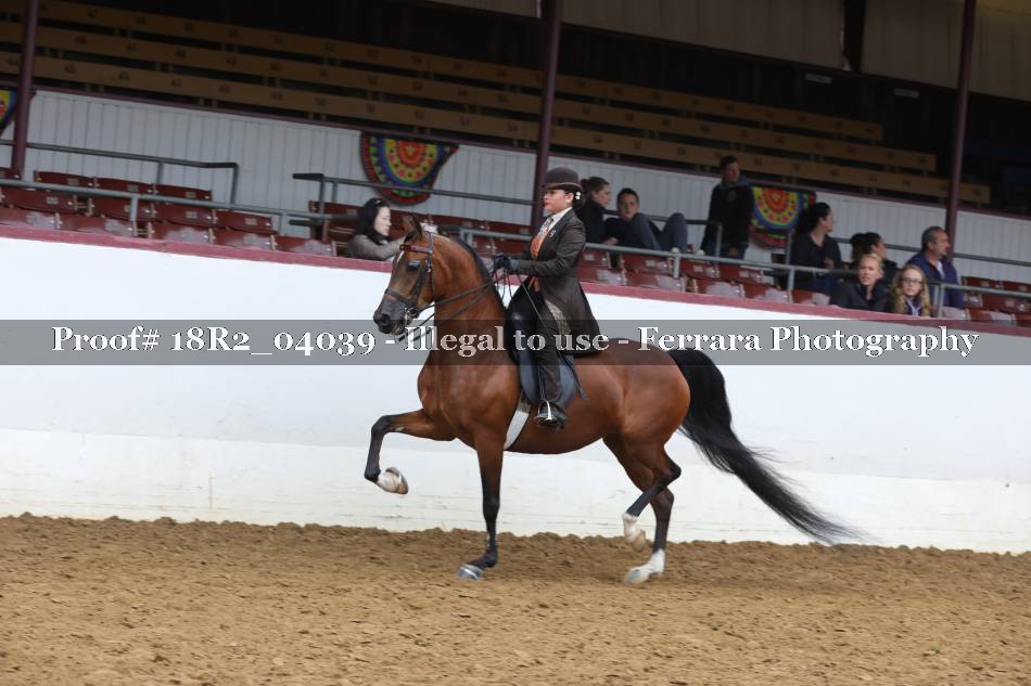 Proof 18R2_04039
