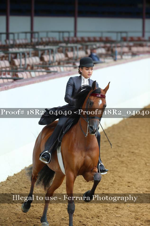 Proof 18R2_04040