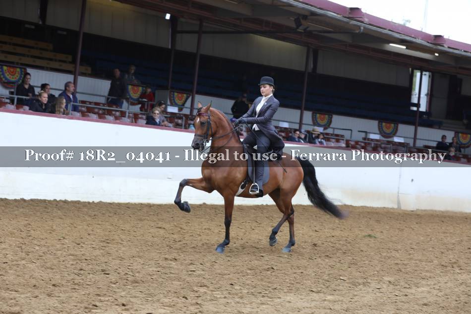 Proof 18R2_04041
