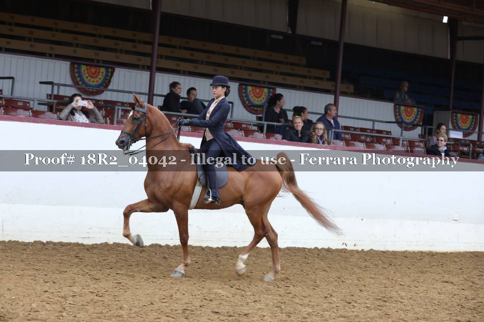 Proof 18R2_04042