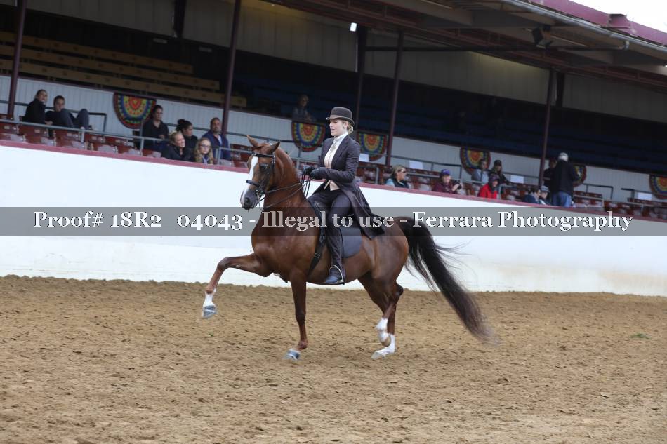 Proof 18R2_04043