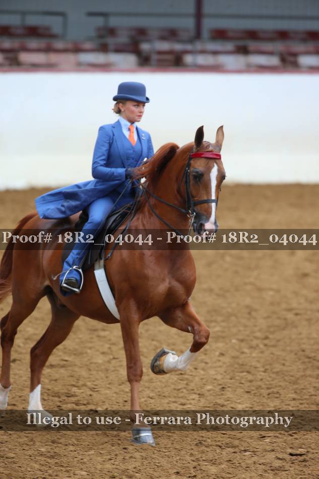 Proof 18R2_04044