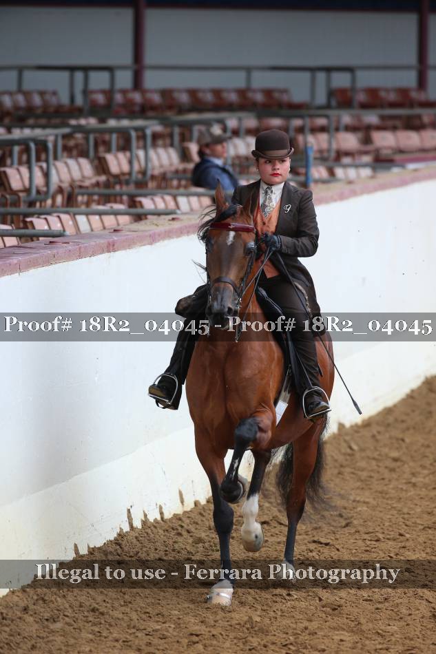 Proof 18R2_04045