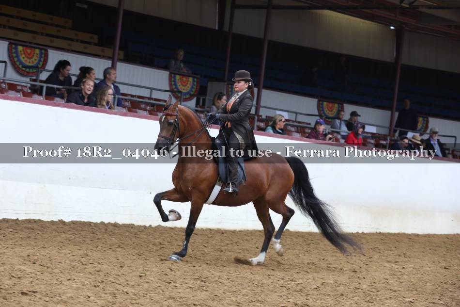 Proof 18R2_04046
