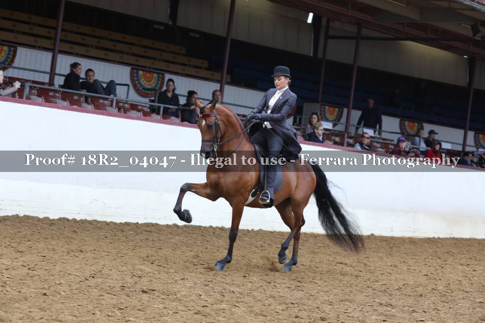 Proof 18R2_04047