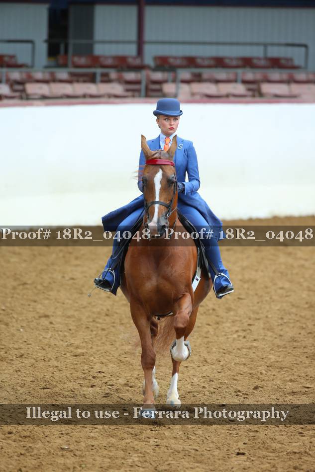 Proof 18R2_04048