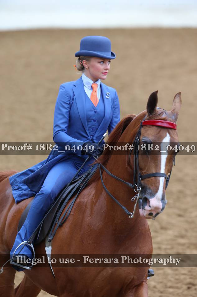 Proof 18R2_04049