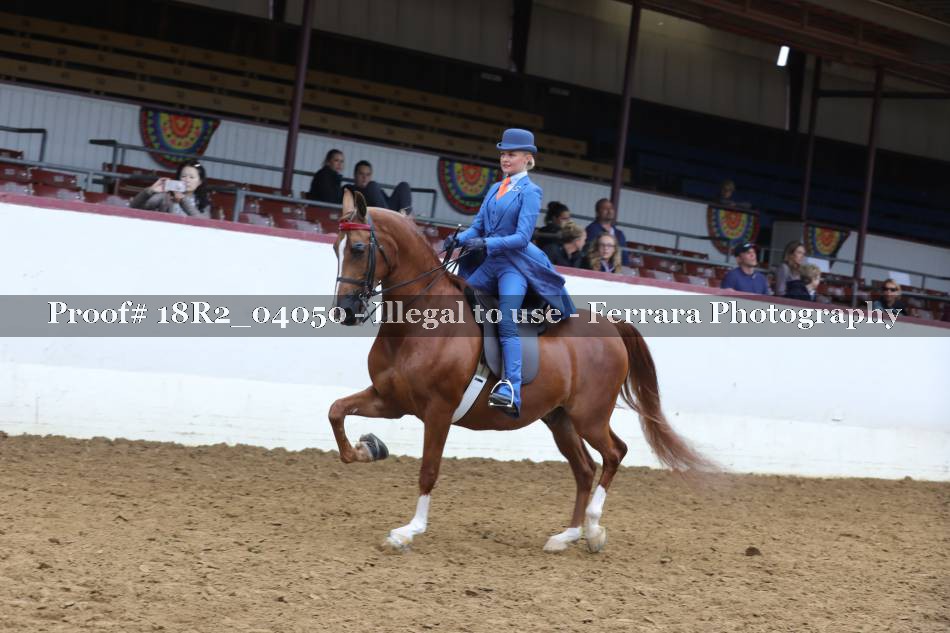 Proof 18R2_04050