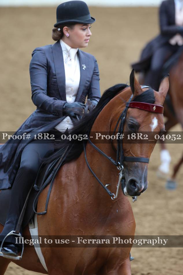 Proof 18R2_04052