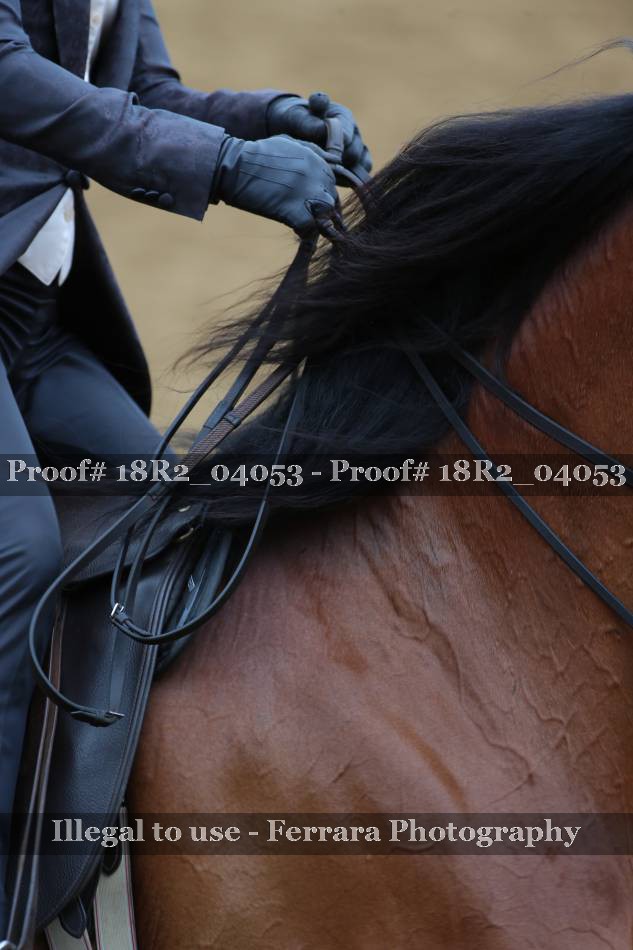Proof 18R2_04053