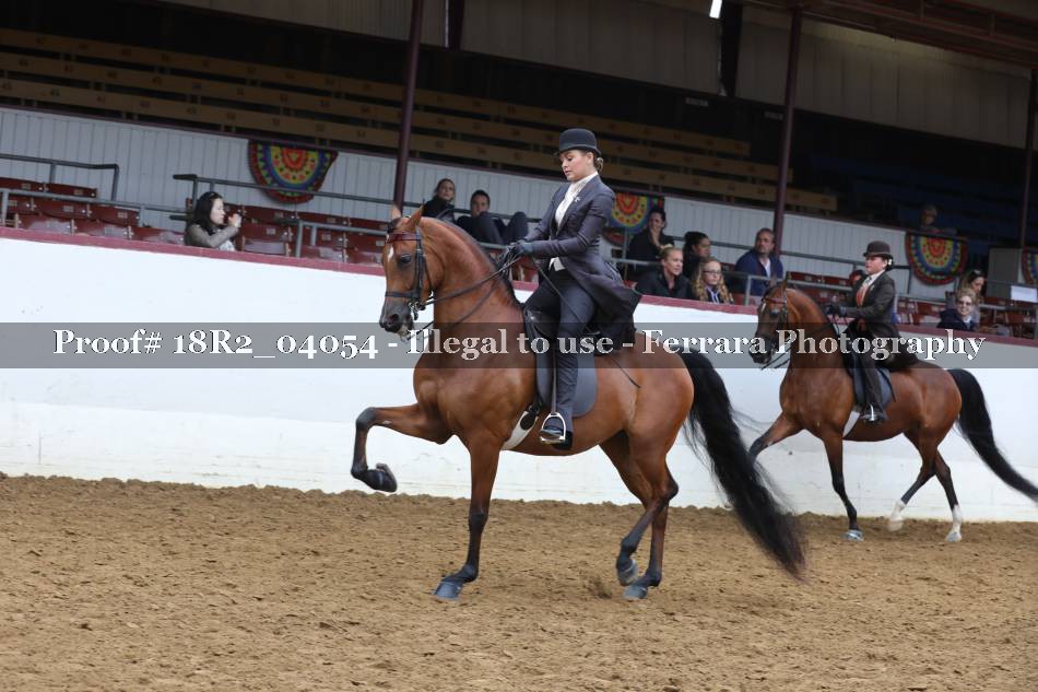 Proof 18R2_04054