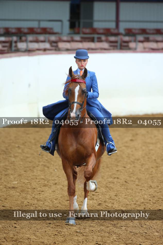Proof 18R2_04055