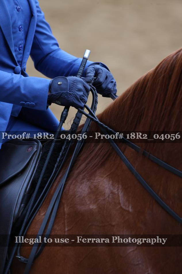 Proof 18R2_04056
