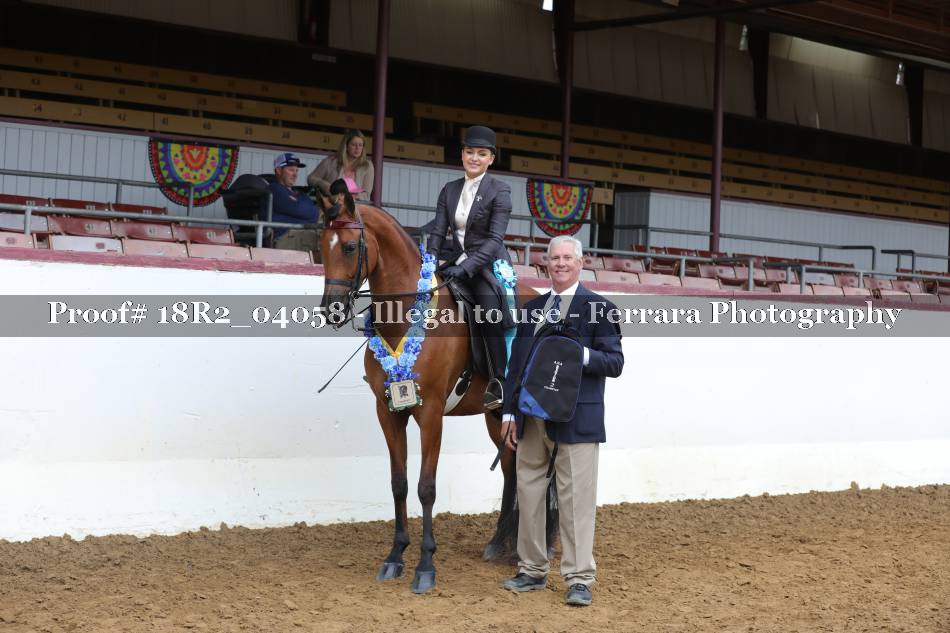 Proof 18R2_04058