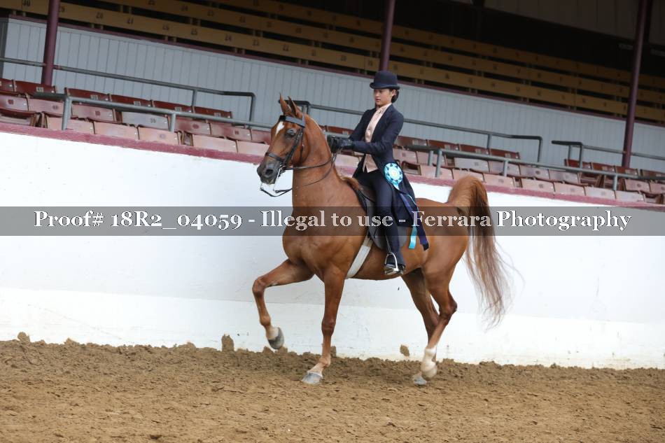 Proof 18R2_04059