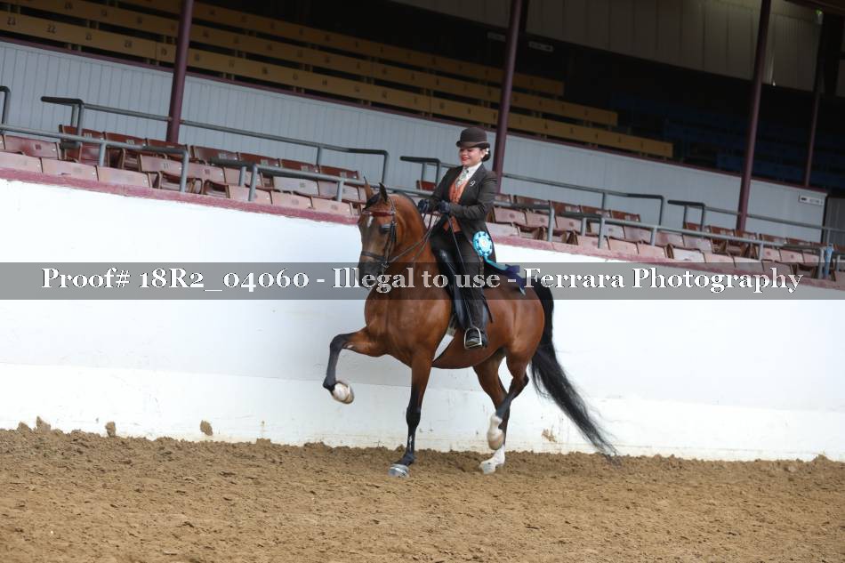 Proof 18R2_04060