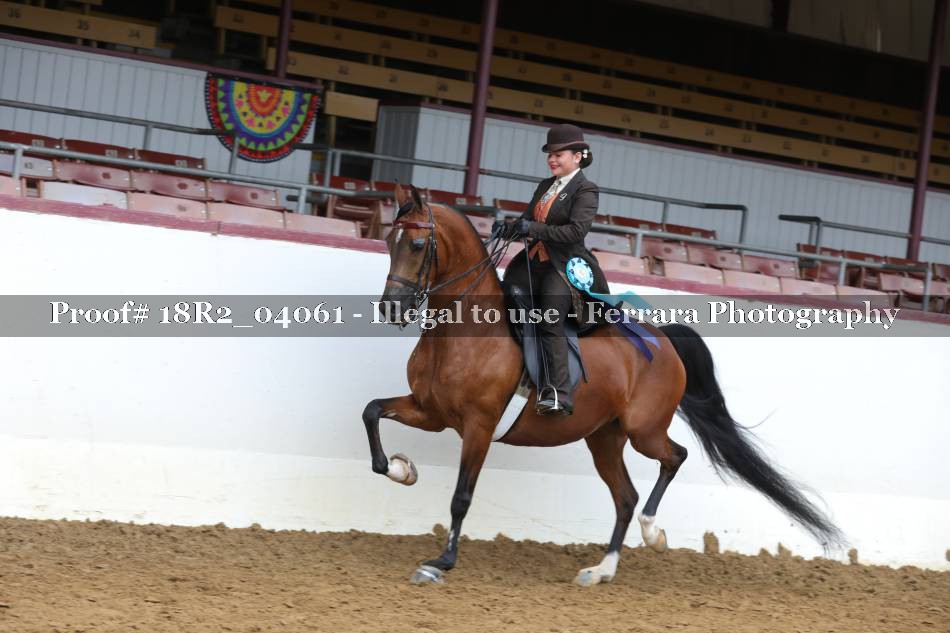 Proof 18R2_04061