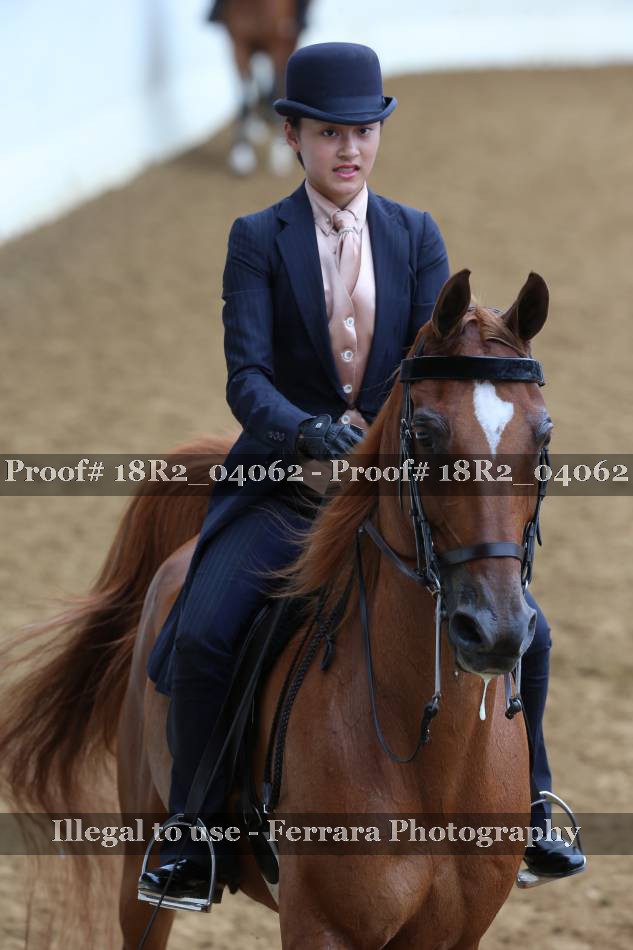 Proof 18R2_04062