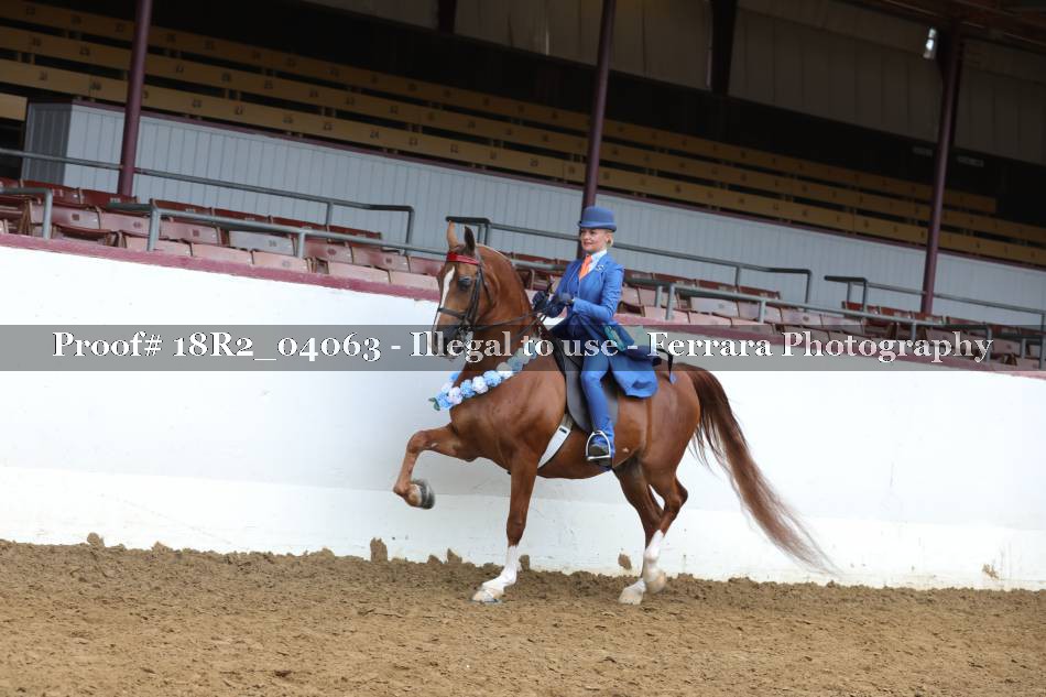 Proof 18R2_04063