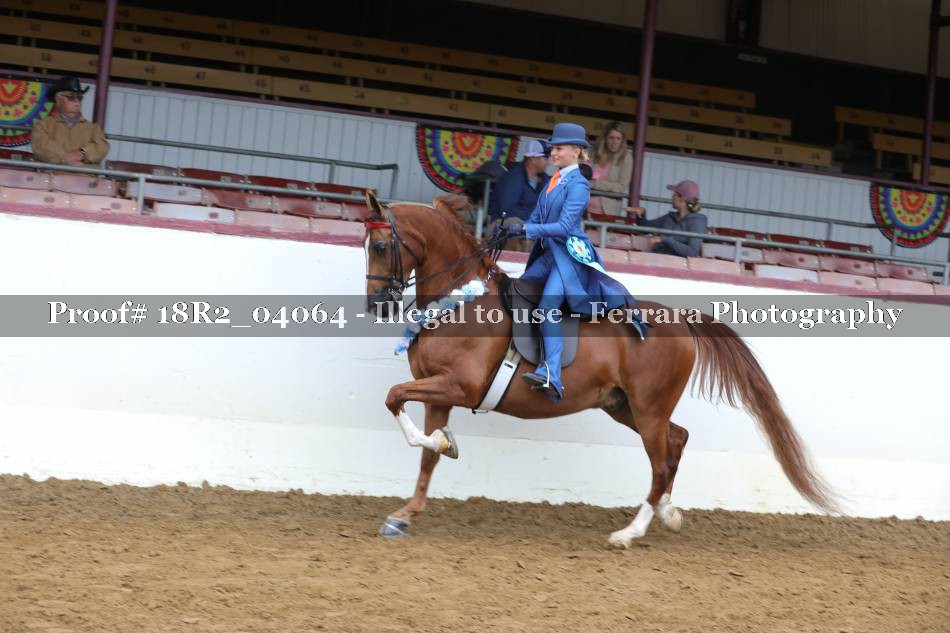 Proof 18R2_04064